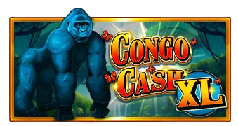 Congo Cash XL