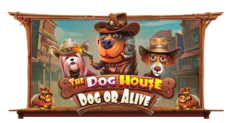 The Dog House - Dog or Alive